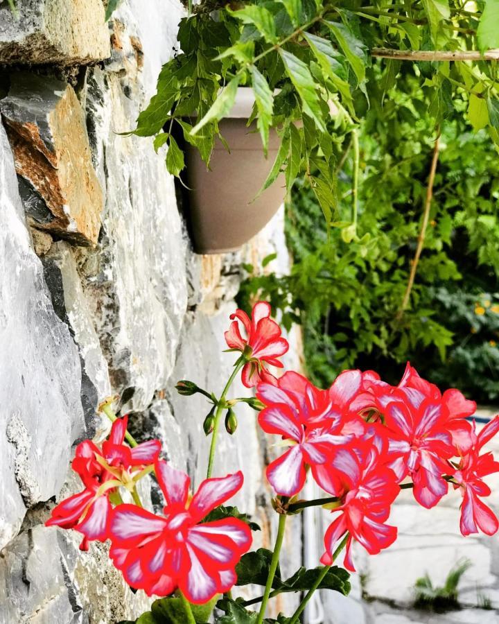 Nehir Dalyan Boutique Otel Ortaca  Exterior foto